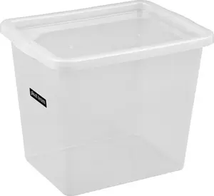 Контейнер plast team BASIC BOX 31,0 л с крышкой, прозрачный, PPR, 1 шт.