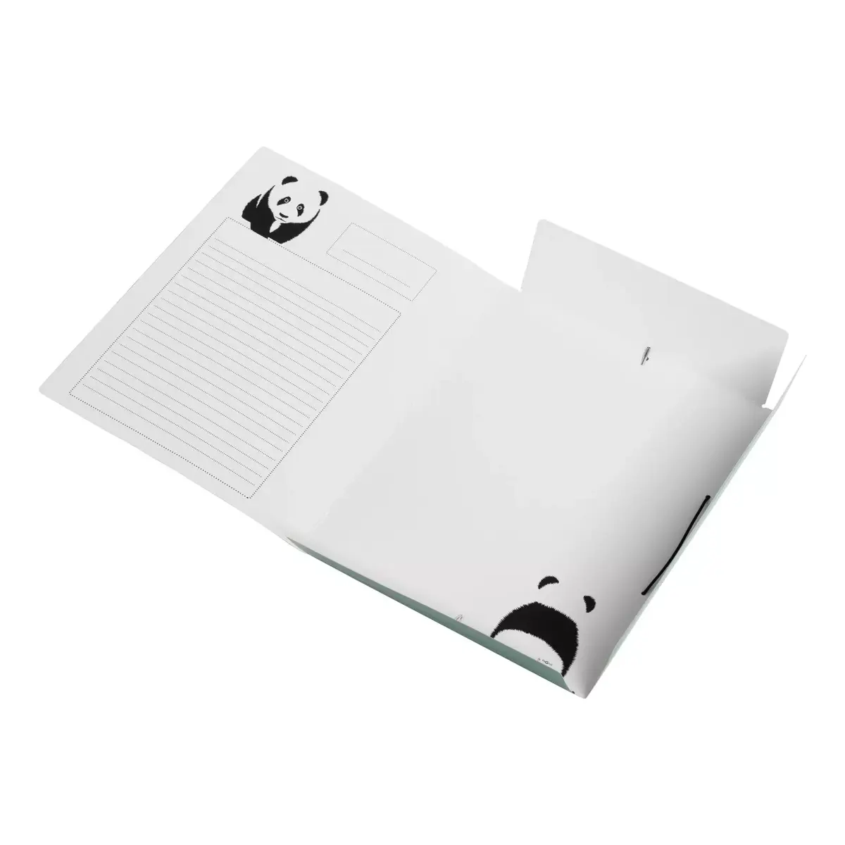 Carton Folder Pagna Save me A4 Photo 2