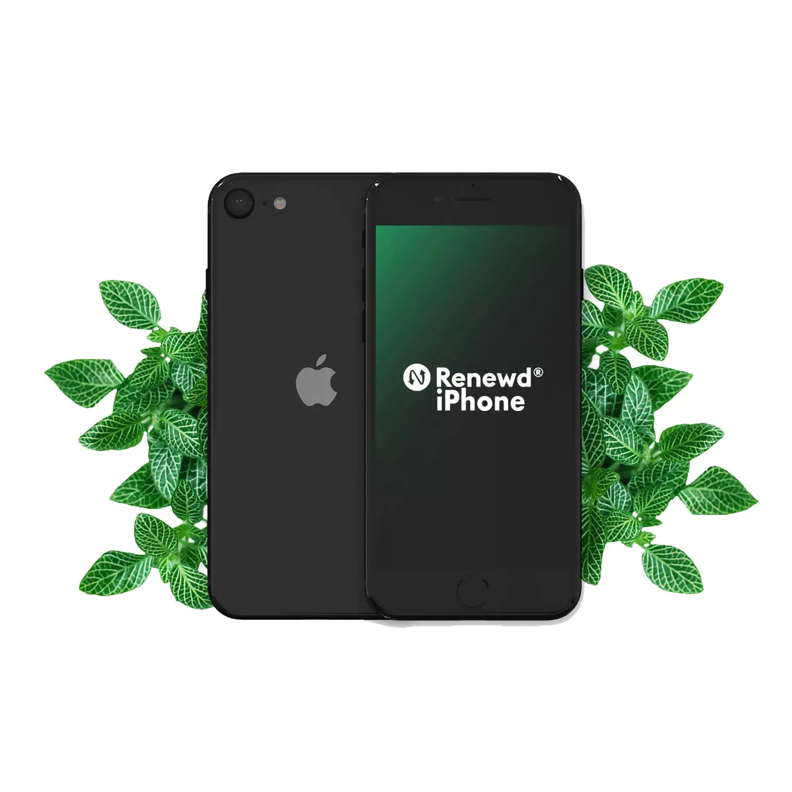 Renewd iPhone SE2020 RND-P171128 Photo 1