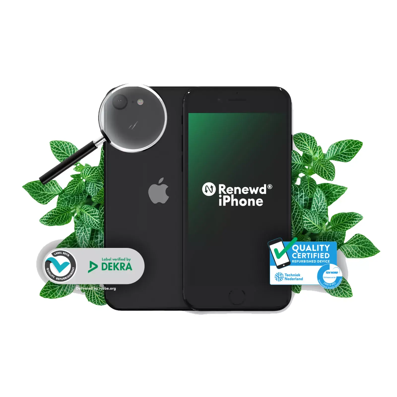 Renewd iPhone SE2020 RND-P171128 Photo 8