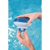 Hloru/bromu dozators Bestway Bestway Chemical Floater 12.7cm Photo 22