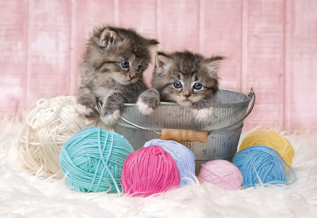 Пазл Clementoni Sweet Kittens — 104 элемента Photo 2