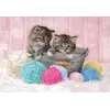 Пазл Clementoni Sweet Kittens — 104 элемента Photo 2