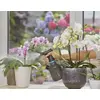 Sūknis smidzinātājs Gardena 11114-20 Photo 6