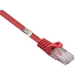 BASETech BT-2272248 networking cable Red 1 m Cat5e U/UTP (UTP)