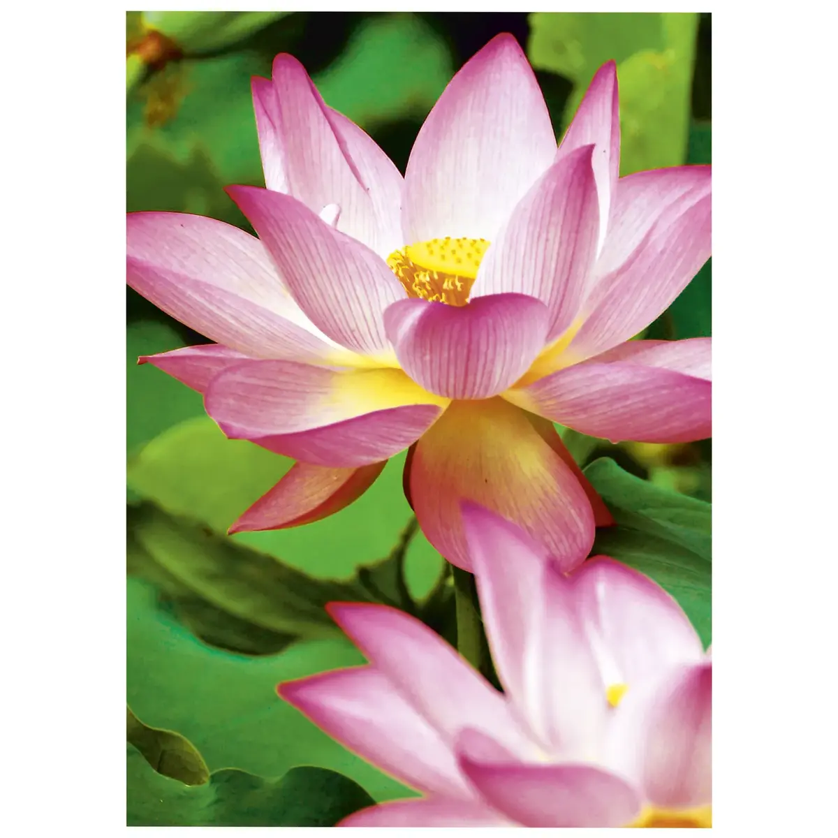 Avery Zweckform A4 augsti spīdīgs inkjet 300 g/m² Photo 3