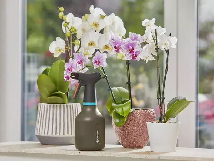 Rokas smidzinātājs Gardena 11110-20 Photo 5