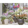 Rokas dārza smidzinātājs Gardena 11112-20 Photo 4