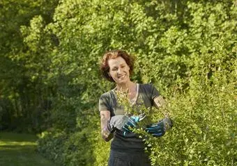 Gardening gloves Gardena 11531-20 Photo 2