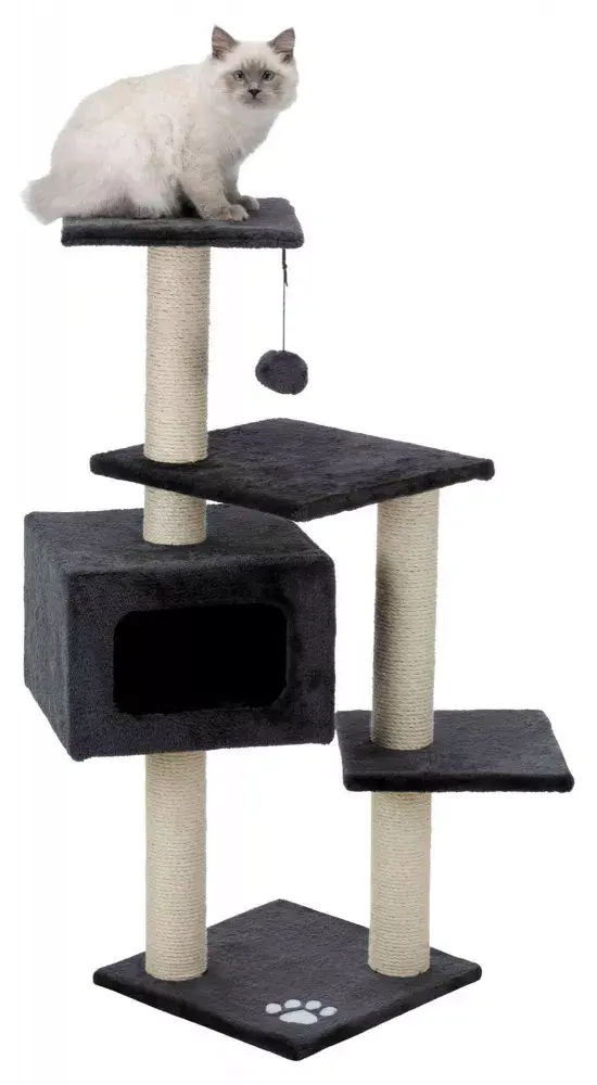 Cat scratching post Trixie Palamos Photo 2