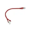 LANBERG Cat6 U/UTP patch kabelis 0,25 m Photo 2