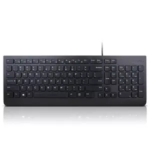 Keyboard Lenovo Essential Universal USB QWERTY US English Black