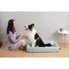 PETKIT P7110 L 6931580106056 Photo 2