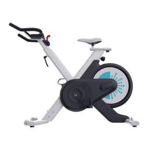 WNQ VENUS-B2 Home Use Intelligence Spin Bike, Magnetic, 100 kg, Black/White, LCD display