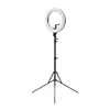 HomeStream HS-PROMPTER-RL Ikan Photo 12