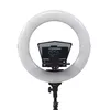 HomeStream HS-PROMPTER-RL Ikan Photo 14