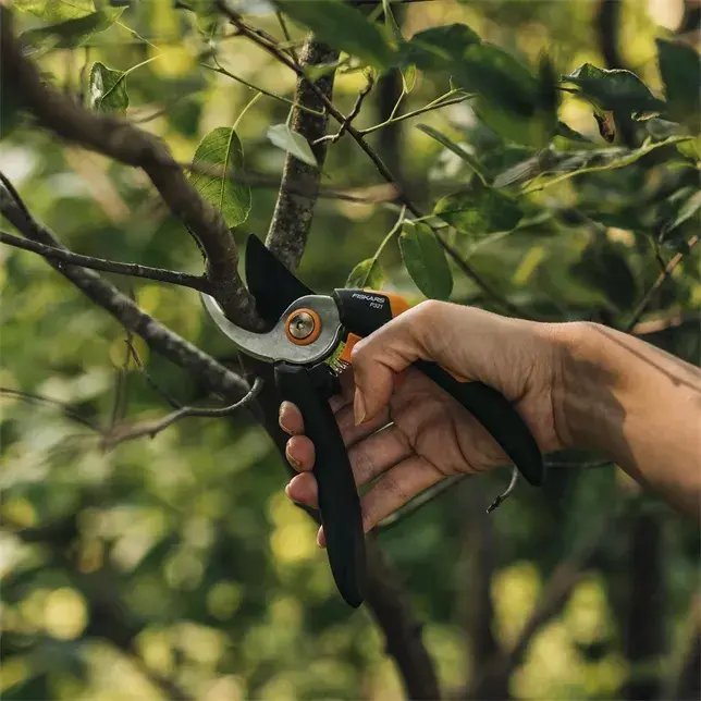 Kniežņi Fiskars Solid M P321 Photo 2