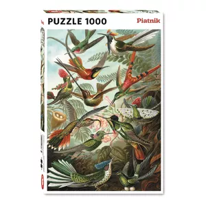 Пазл Piatnik 1000 деталей — Haekels Kolibri, картинка с колибри, для взрослых и подростков