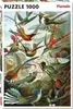 Piatnik Haekels Kolibri 1000-piece puzzle Photo 2