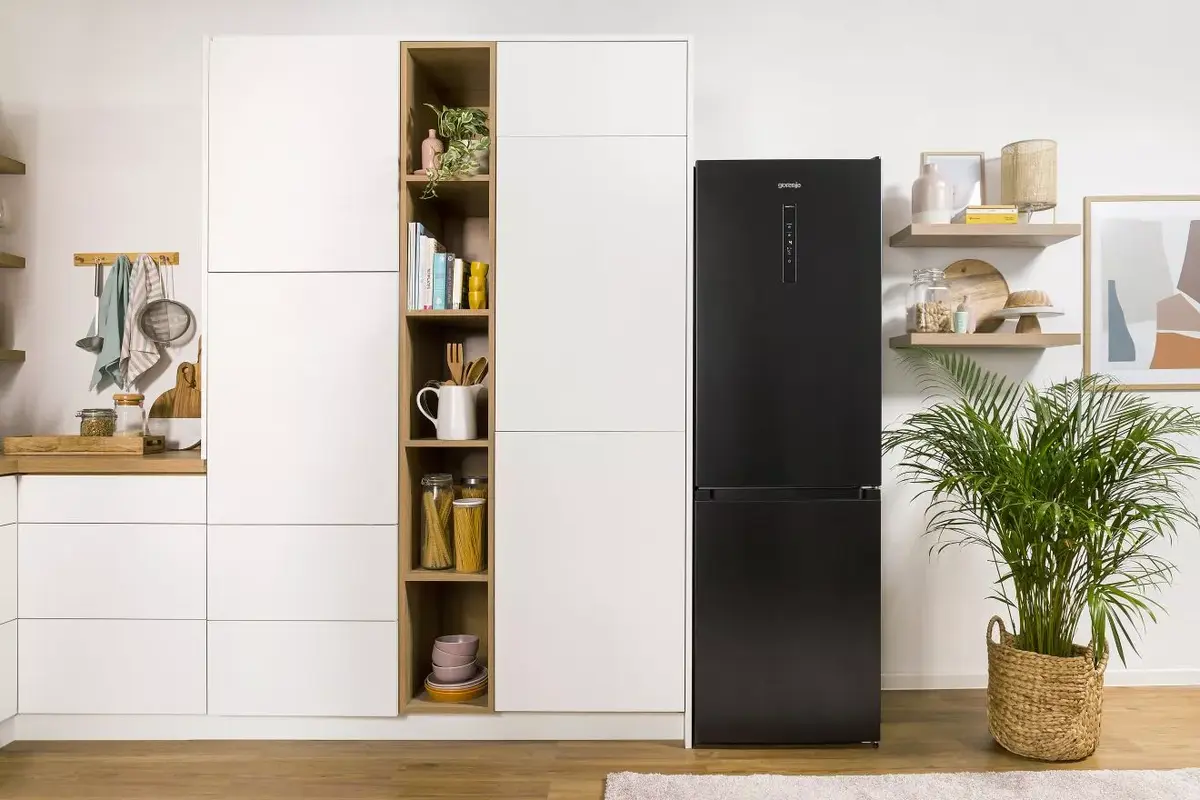 Холодильник Gorenje NRK619EABXL4 Photo 15