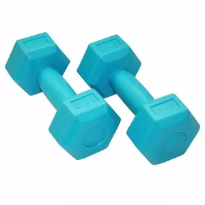 SportVida 2in1 GYM & Fitness SV-HK0222, Dumbbells, Rods, Discs