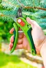 Pruning shears Verto 15G202 Bypass Photo 2