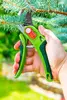 Pruning shears Verto 15G203 Anvil 210 mm Photo 2