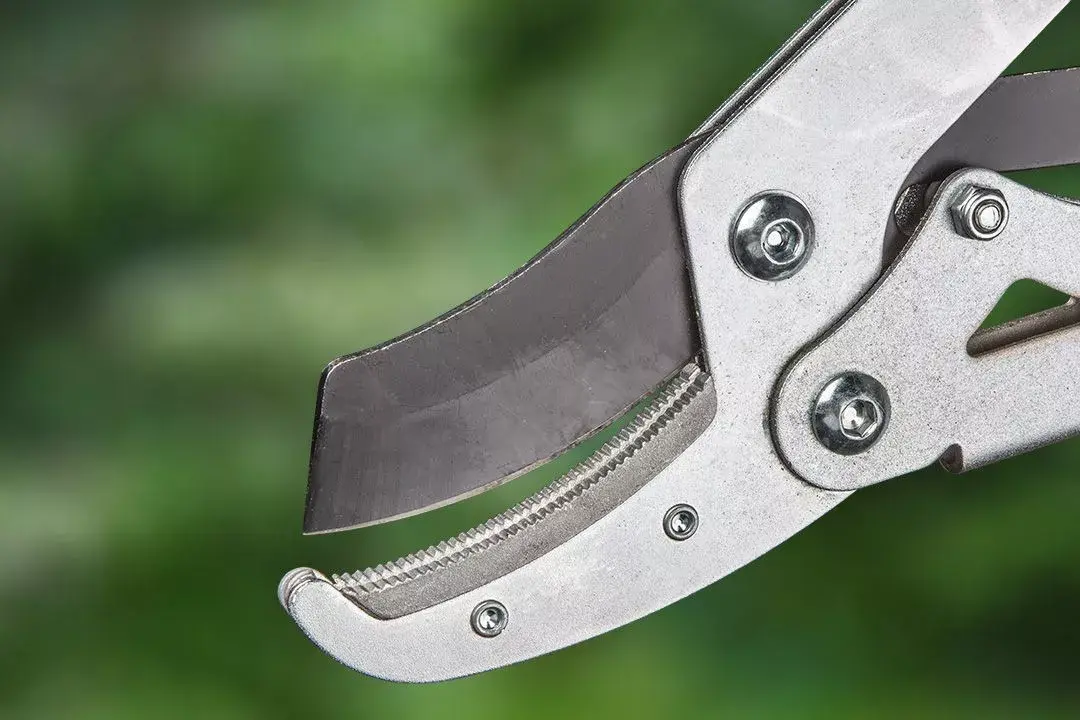 Pruning Shears Verto 15G259 Photo 3
