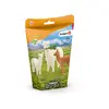 Dzīvnieku figūriņu komplekts Schleich WILD LIFE Alpakas komplekts Photo 5