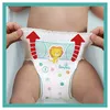 Pampers 8006540068601 Photo 4
