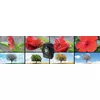Compact camera Technaxx TX-164 Photo 10