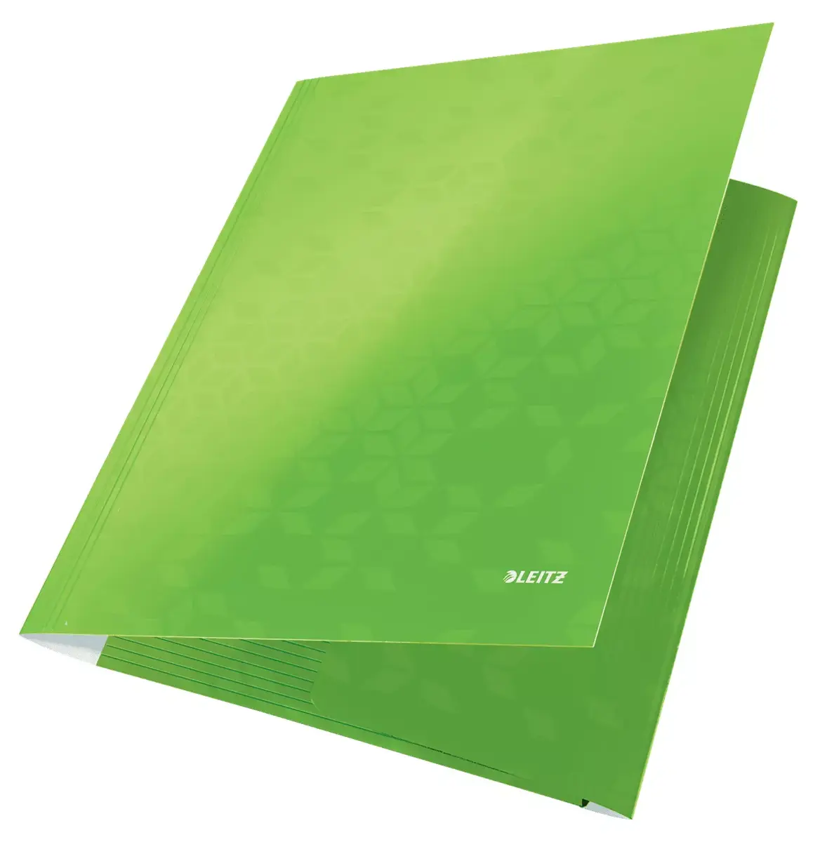 Manila folder Leitz 39820054 Photo 2