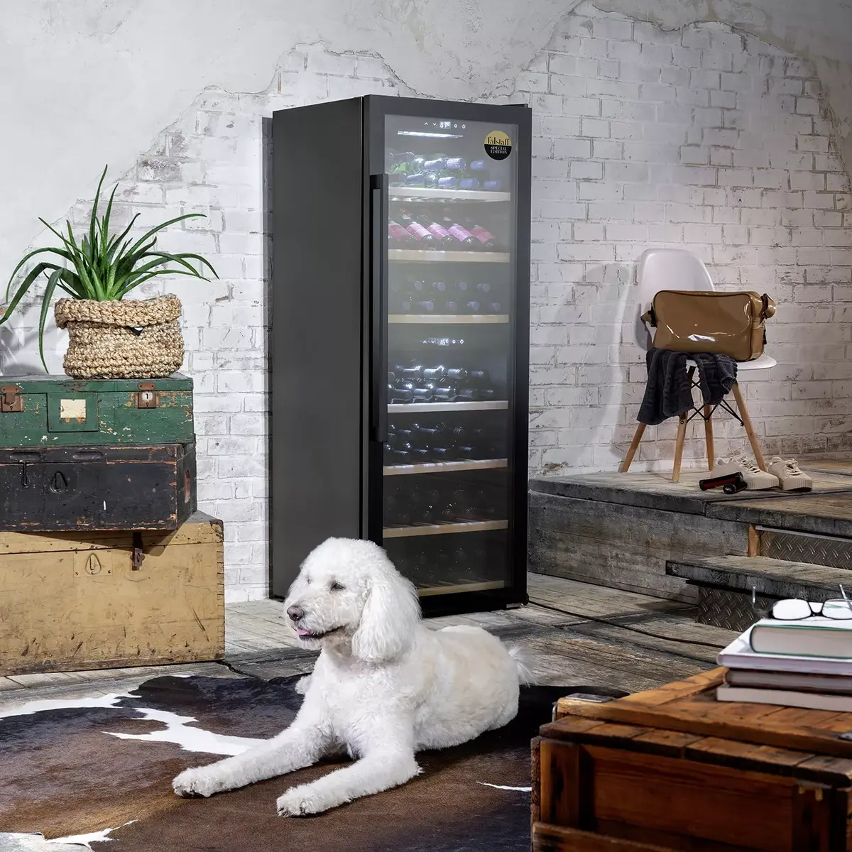Vīna dzesētājs Caso 126 Smart Compressor Photo 3