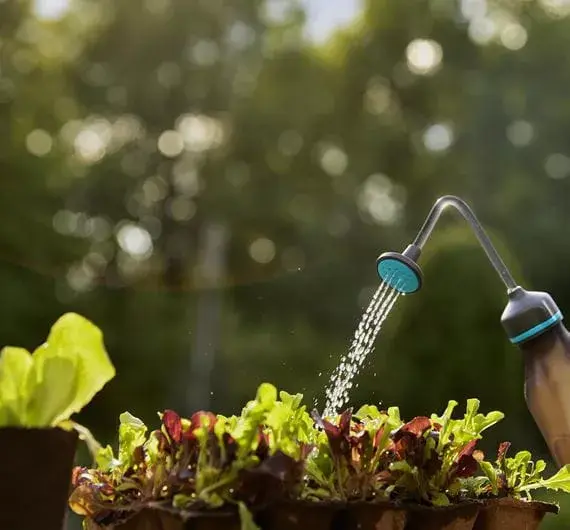 Rokas smidzinātājs Gardena 11102-20 Photo 6