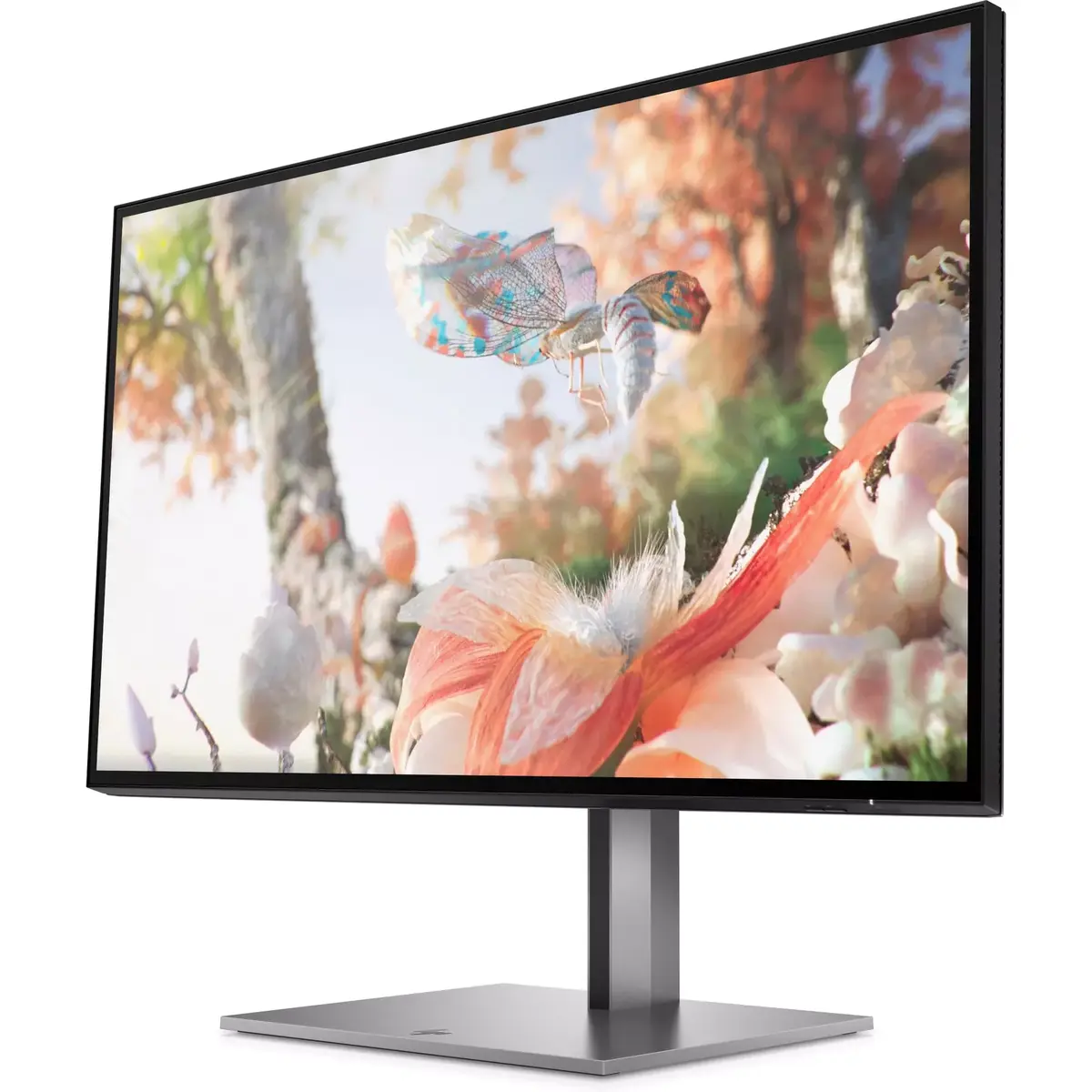 Monitors HP Z25xs G3 Photo 2