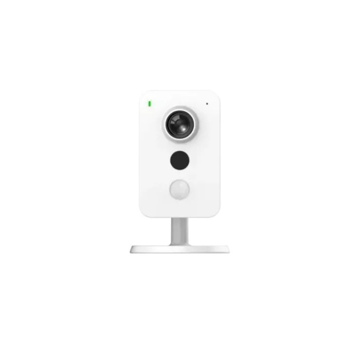 IP Cameras