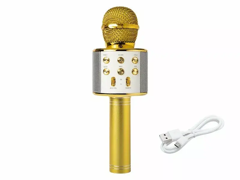 Микрофон BLOW PRM 402 gold Photo 2