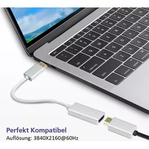 DisplayPort to HDMI adapter cable Helos 4K Silver — DisplayPort (male) to HDMI (female)