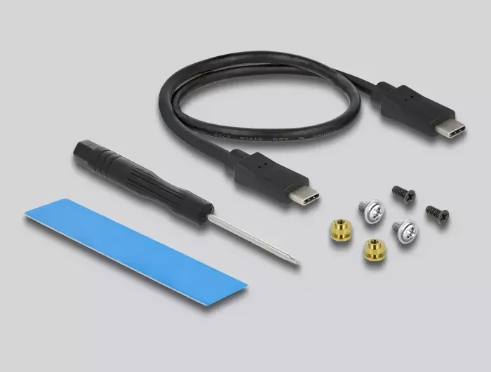 SSD enclosure DeLOCK External USB Type-C Combo Enclosure Photo 3