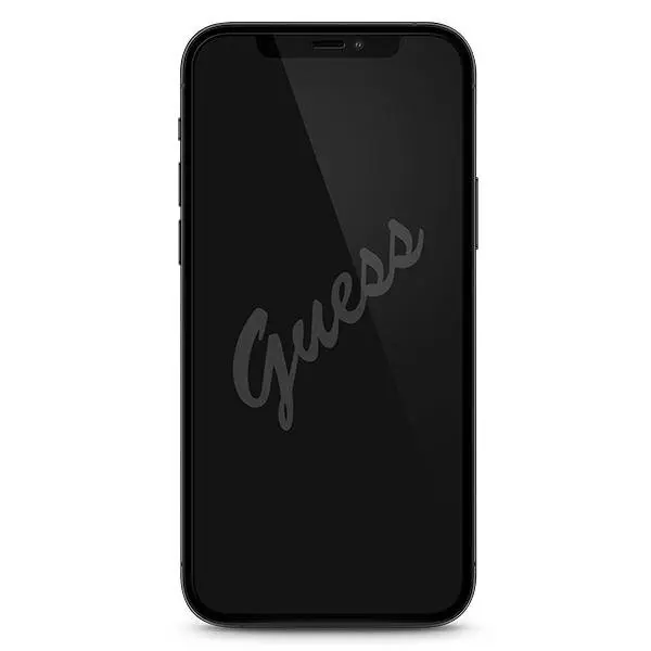 Закалённое стекло GUESS для iPhone 12 Pro Max GUSPP12LSLTR Photo 2