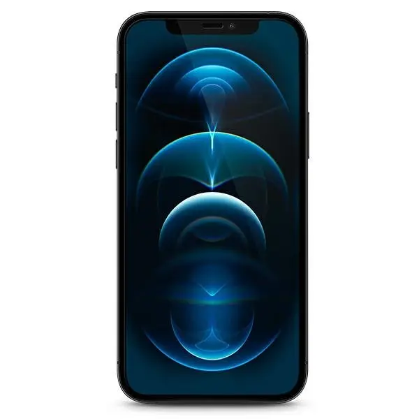 Закалённое стекло GUESS для iPhone 12 Pro Max GUSPP12LSLTR Photo 3