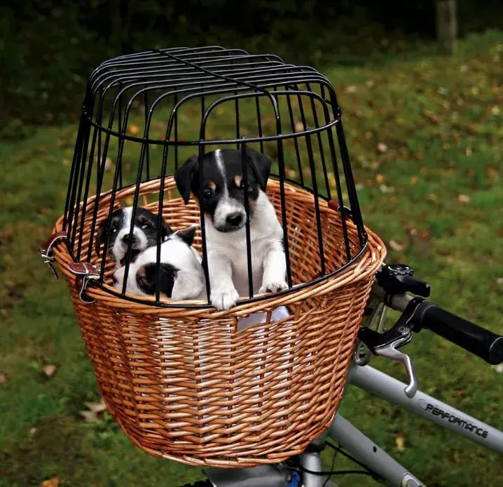 Hard pet carrier TRIXIE 2806 Photo 3