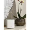 Maršrutētājs D-Link COVR AX1800 Photo 7