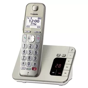 DECT telefons Panasonic KX-TGE260GN