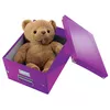 LEITZ 60440062 document storage box A4 PP Photo 4