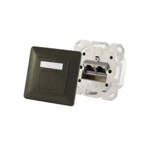 Розетка ShiverPeaks S/CONN 74280-A — 2×RJ-45, Cat6a, 500 МГц, металлический корпус, антрацит