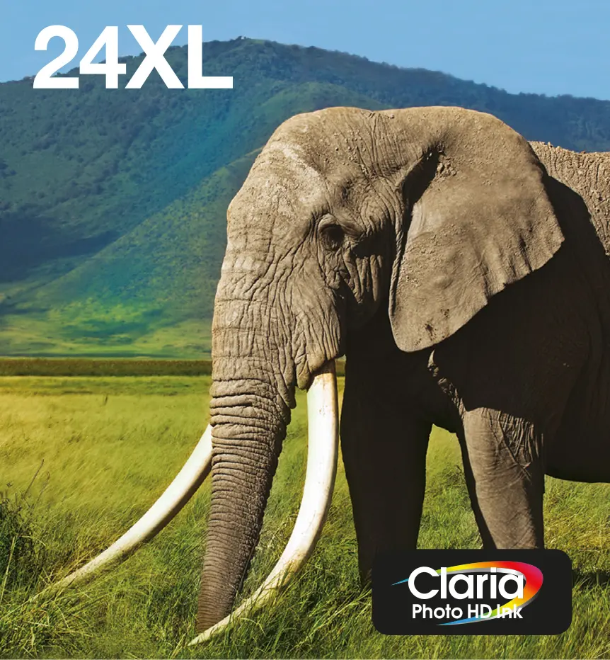 Epson 24XL Elephant Claria Photo HD