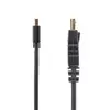 StarTech Mini DisplayPort → DisplayPort 1.2 кабель MDP2DPMM10 Photo 5