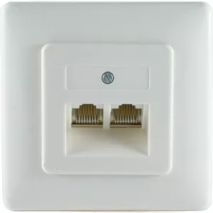 Wall-mounted telephone connection outlet ShiverPeaks S/CONN 8/8 - 8/8 with 2 line ports and metal frame for flush installation (74241-)