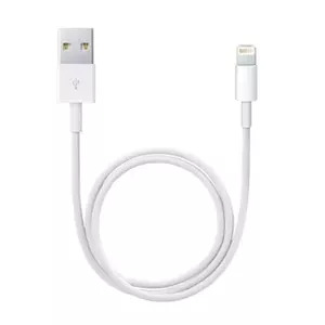 Apple Lightning to USB Cable (0.5 m)